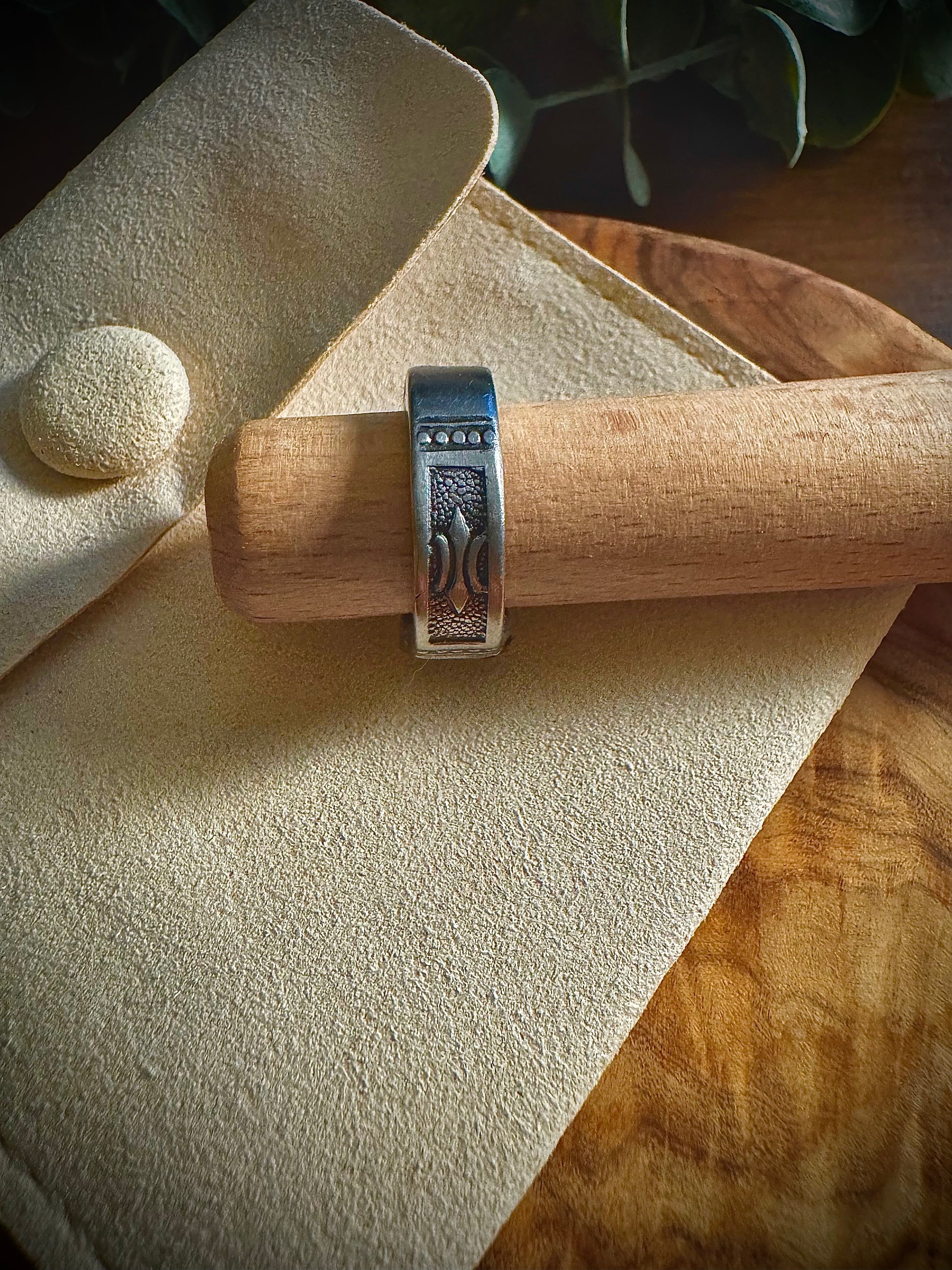 The Ledger Ring