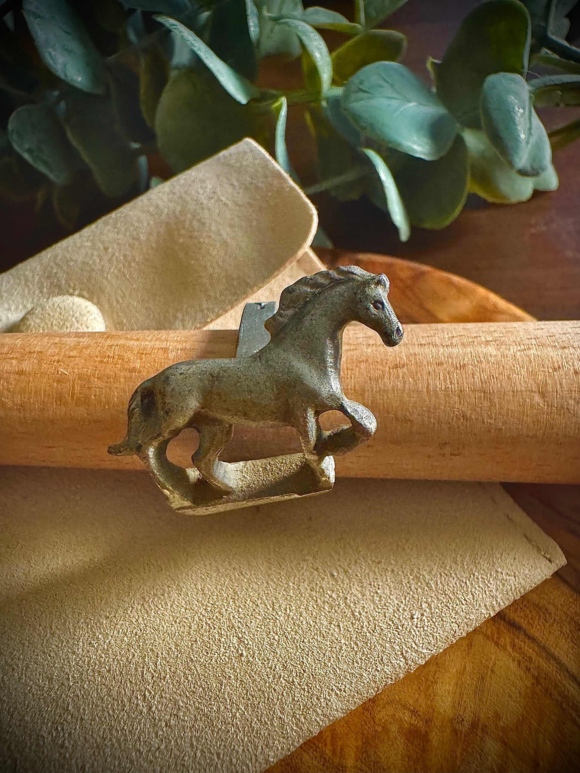 Canterbury Stallion