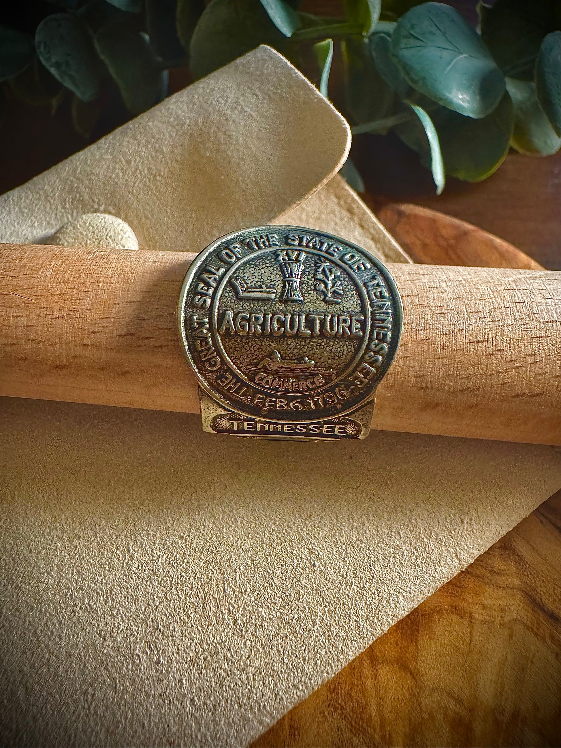 Tennessee Seal