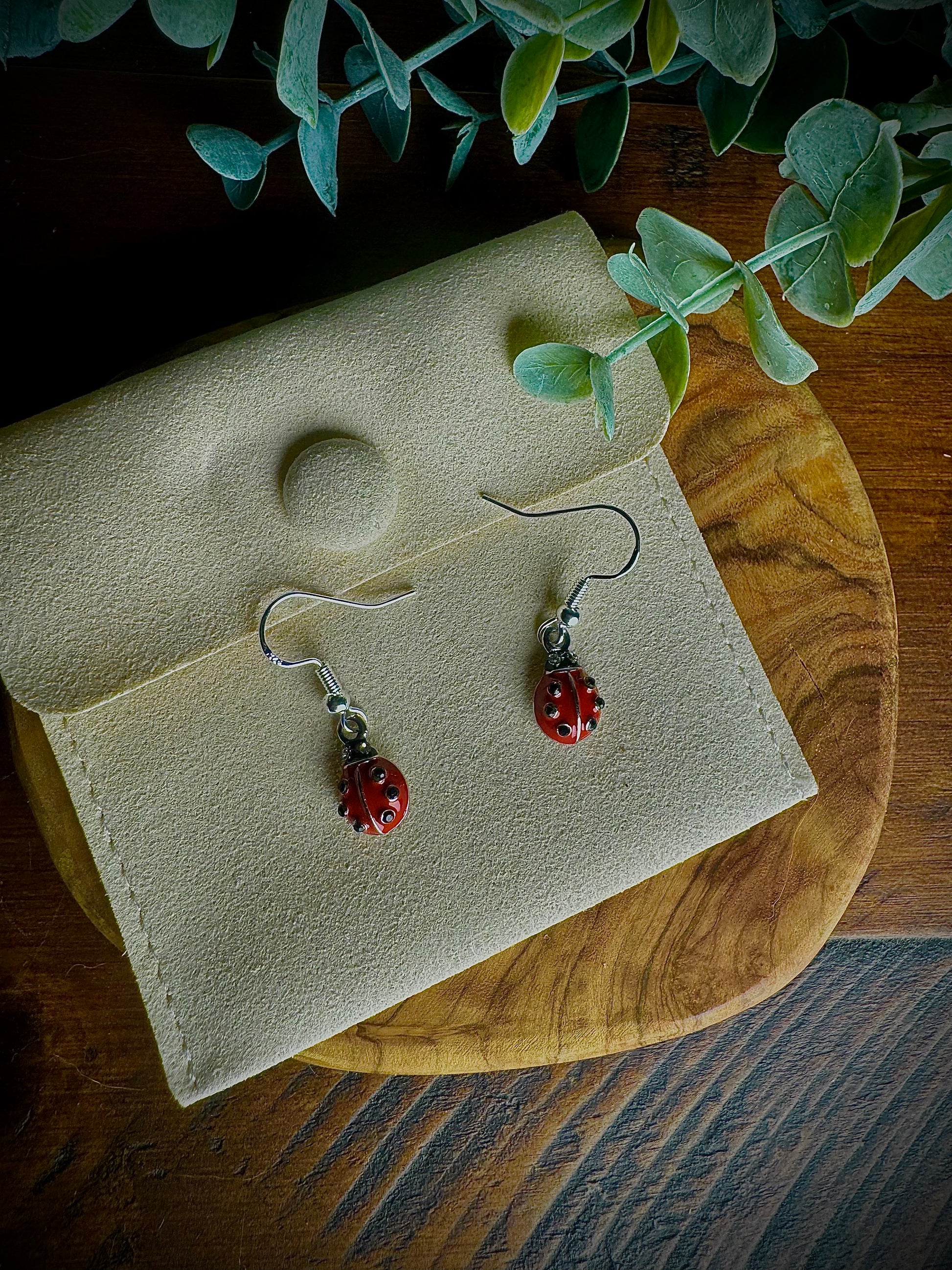 Lucky Ladybugs
