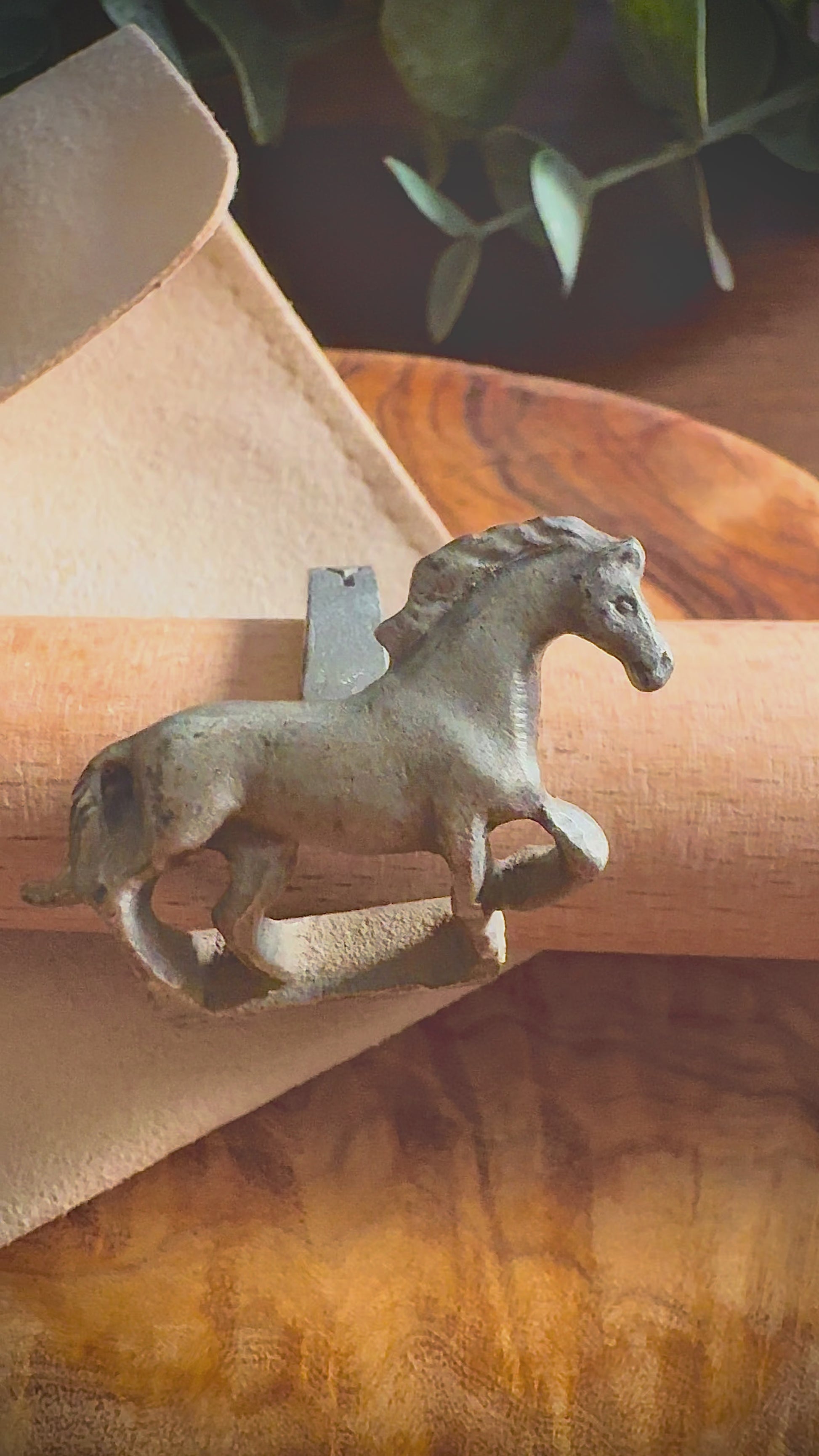 Canterbury Stallion