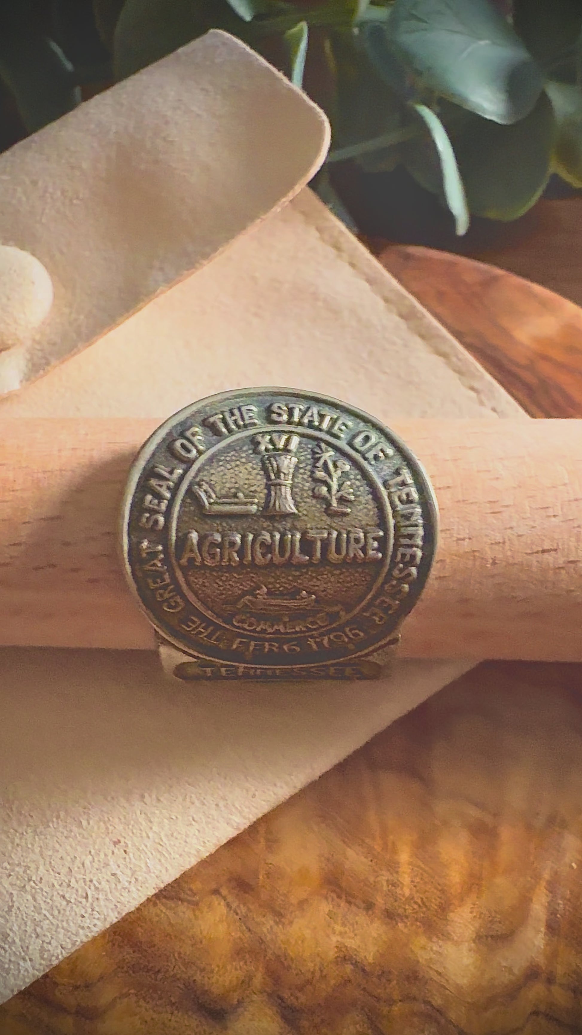 Tennessee Seal